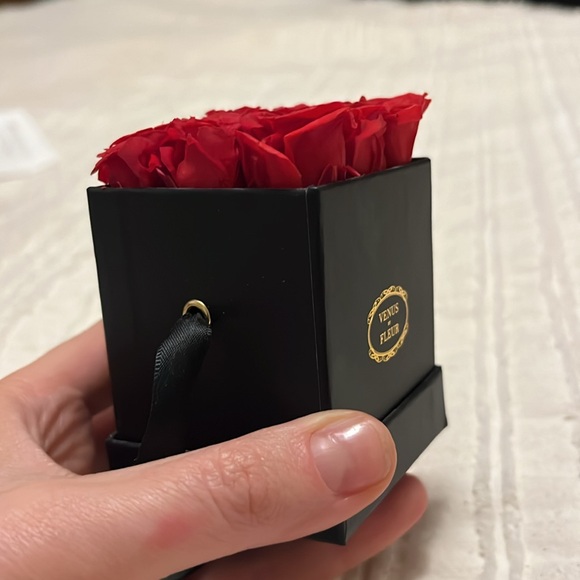 Mini Venus Et Fleur Preserved Roses - Picture 4 of 4